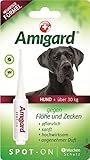 Amigard Spot-On 1er Pack für große Hunde, gegen Zecken und Flöhe, 1 Monat Schutz, pflanzliche Wirkstoffe, ohne Parfüm und Konservierungsmittel, vegan