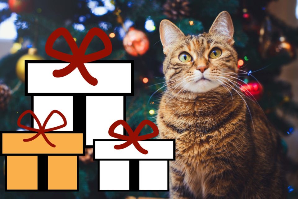 Katze mit Geschenken