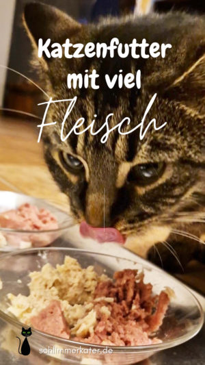 Kater frisst Katzenfutter mit viel Fleisch