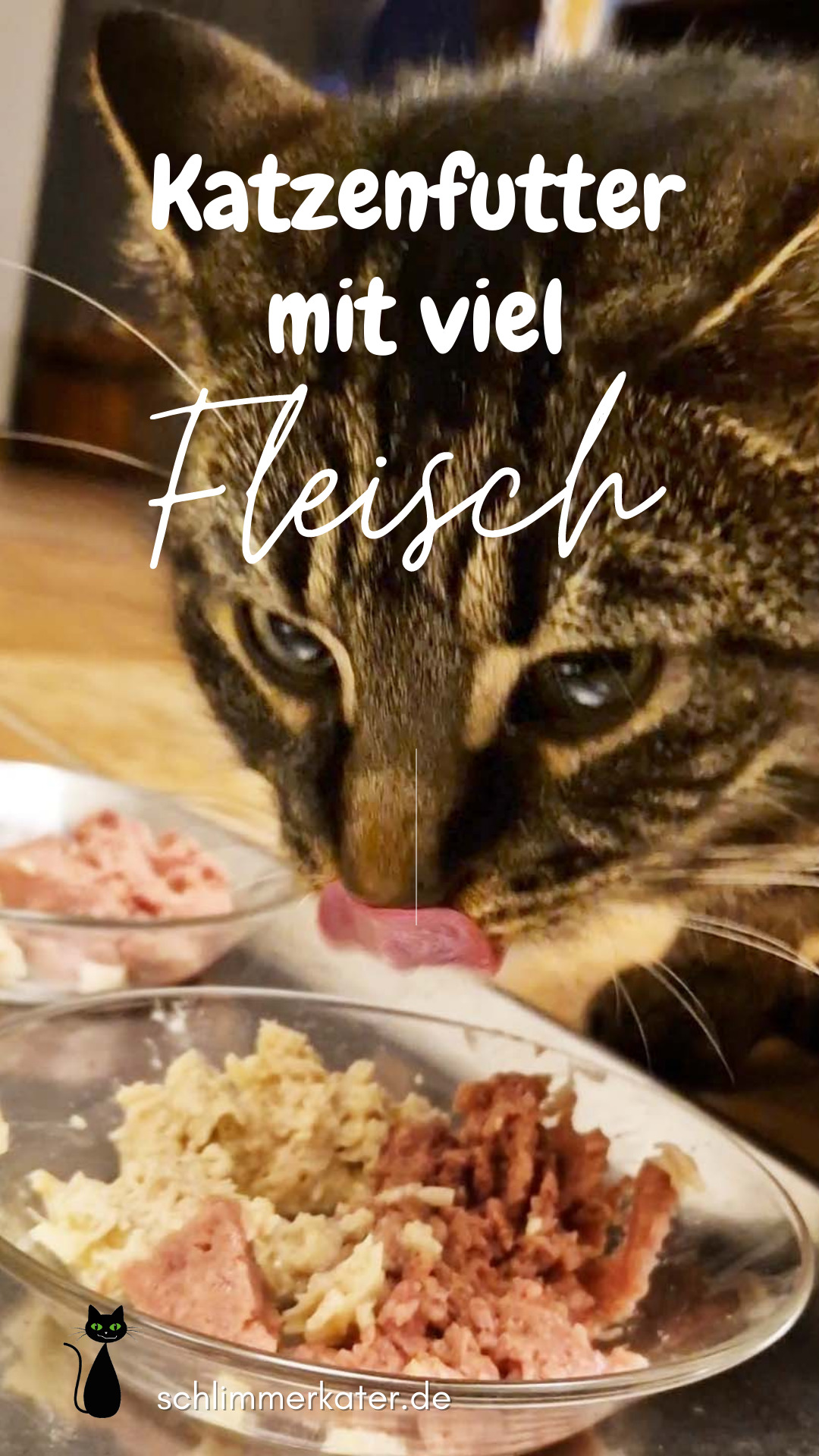 Kater Tiger frisst Katzenfleisch mit