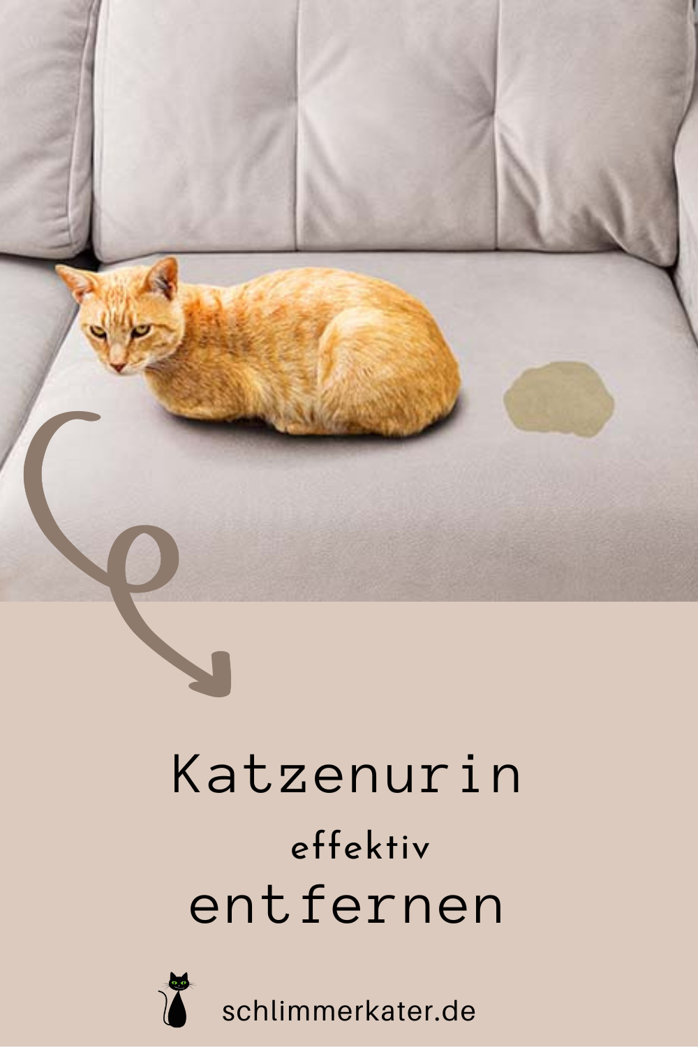 Katzenurin entfernen Sofa, Matratze, Teppich und Polsterinnere