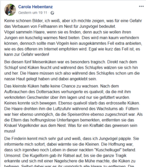 Kein Hundefell für Vögel auslegen