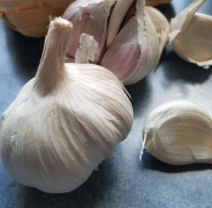 Knoblauch ist für Hunde gesund und whert Zecken ab.
