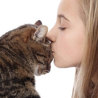 Wenn du deiner Katze unbedingt einen Kuss aufdrücken willst, dann auf die Stirn.