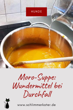 Morosuppe im Topf
