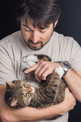 Katzen wollen nicht wie ein Baby getragen werden.