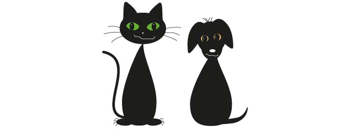 5-teiliges Katzennapf-Set Aus Kunststoff – Flach, Breit, Gegen Schnurrhaar-Müdigkeit